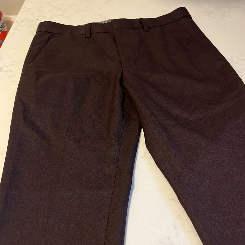 Express dress pants